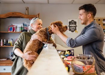 mercado de pet