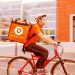 Delivery Center integra nova experiência do Google que facilita pedidos de comida on-line