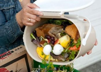 Índice Aproveitômetro do CyberCook alerta sobre o desperdício de alimentos nos lares