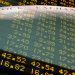 Mercado financeiro: bolsas caem no mundo todo e dólar chega a quase R$ 6
