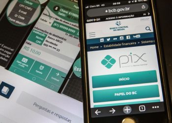 PagTesouro começa a disponibilizar Pix como forma de pagamento