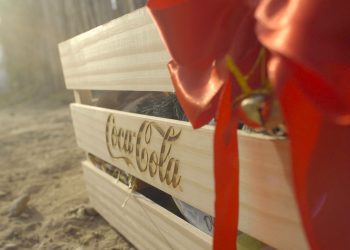 Solar Coca-Cola leva presentes e água a vilarejo do sertão de Pernambuco