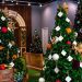 Sem glitter ou plástico: Shopping Parque da Cidade tem decoração 100% sustentável