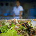 Venda de alimento saudável bate R$ 100 bi na pandemia