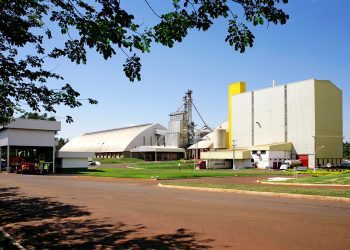 JBS anuncia 160 vagas para recém-formados no Programa de Talentos da Seara