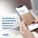 Ecossistemas de negócios são tema de e-book