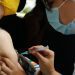 Brasil terá em maio 4 milhões de doses do Covax Facility