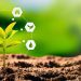 LDC anuncia colaboração com The Nature Conservancy para promover agricultura regenerativa