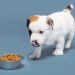 BRF compra Grupo Hercosul e avança no segmento de pets