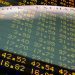Bolsa sobe quase 2% e atinge maior nível em um mês e meio; dólar fecha em queda