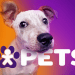 Vivo entra no mercado pet e começa a vender de coleira a bebedouro