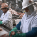 Tyson Foods investe US$ 300 milhões em unidade de alimentos preparados