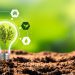 Basf anuncia criação de subsidiária para atividades de energia renovável