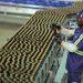 Ambev anuncia construção de fábrica de vidros sustentáveis no Paraná