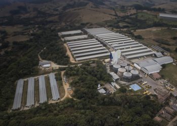 Grupo Mantiqueira inaugura lojas de ovos em São Paulo