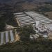 Grupo Mantiqueira inaugura lojas de ovos em São Paulo