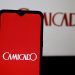 Camicado