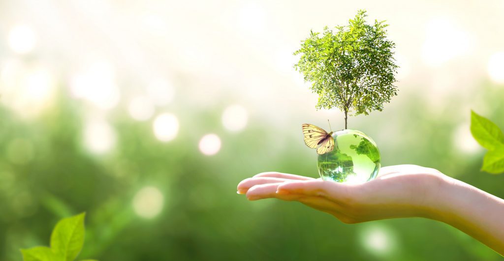 EDP, Renner, Telefônica, CPFL e Natura lideram ranking de sustentabilidade da B3