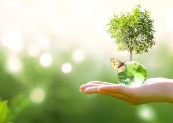 EDP, Renner, Telefônica, CPFL e Natura lideram ranking de sustentabilidade da B3