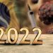 Olhem para cima, para baixo e para os lados. O imponderável virá de todos os lados em 2022