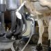 Brasil abre mercados para carne bovina, lácteos e material genético