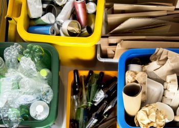 Klabin e Heineken fecham parceria para reciclar embalagens no Paraná
