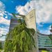 Nestlé abre inscrições para contratar fornecedores com foco em sustentabilidade