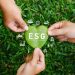 Varejistas revisam valores e adotam agenda ESG para atender exigências do consumidor