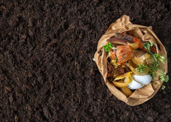 ESG, a gestão do foodservice mais profunda e amplificada