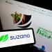 Suzano