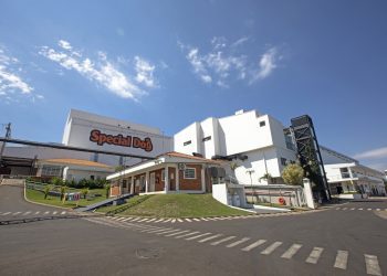 Special Dog Company
