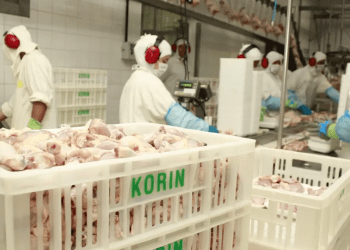 Korin, marca da Igreja Messiânica, terá nova fábrica no interior paulista
