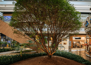 ESG: life center Shopping Parque da Cidade prova que varejo e sustentabilidade caminham juntos