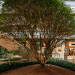 ESG: life center Shopping Parque da Cidade prova que varejo e sustentabilidade caminham juntos