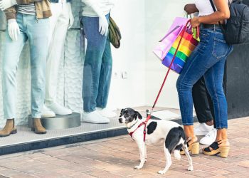 Nove em cada dez shoppings adotam ambientes pet friendly