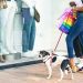 Nove em cada dez shoppings adotam ambientes pet friendly