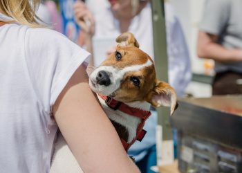 Petlove