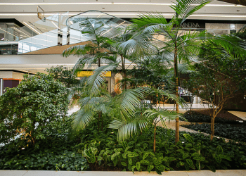Shopping Parque da Cidade investe forte em sustentabilidade