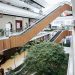 Shopping Parque da Cidade une compras, lazer e sustentabilidade