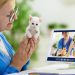 Startup Dr Mep é a primeira em telemedicina para pets no mundo