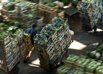 Bloqueio em estradas reduz em 17% movimento na Ceagesp