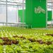 BeGreen