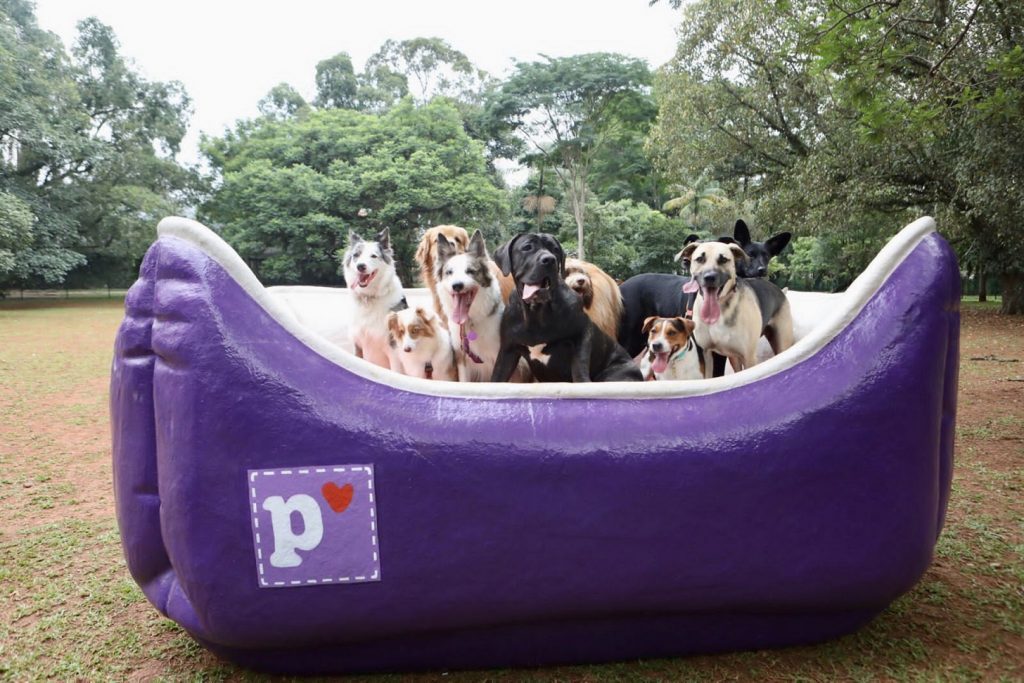 Petlove inaugura espaço pet a céu aberto no Parque Ibirapuera, em São Paulo