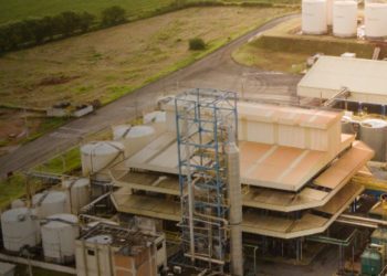 Caramuru Alimentos lança selo e certificação "Padrão Sustentar"