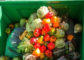 Brasil é o 10º país que mais desperdiça alimentos no mundo