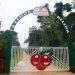 Guaraná Antarctica ganha certificado de produção orgânica na Amazônia