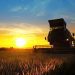 Boa parte do agro manterá posição divergente do governo em 2026