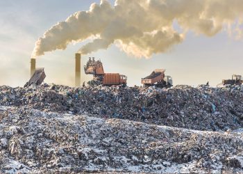 Startup cria ecossistema para ajudar empresas a zeraram os aterros até 2030 transformando lixo em lucro