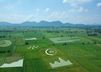 Bayer lança nova plataforma digital em parceria com Microsoft para a cadeia agro