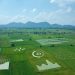 Bayer lança nova plataforma digital em parceria com Microsoft para a cadeia agro